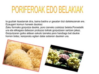 Ia guztiak itsastarrak dira, baina badira ur gesatan bizi daitekezenak ere.
Ezaugarri komun honeek daukiez:
Zaku formako gorputza daukie, poro izeneko zulotzoz beteta.Poroetatik
ura eta elikagaia dabezan protozoo txikiak gorputzean sartzen jakez.
Gorputzaren goiko aldean oskulo izeneko poro handiago bat daukie
horren bidez, kanporatu egiten dabe soberan daukien ura.
 