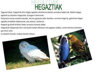 Saguzarrakaz, hegaztiak dira hegaz egiteko ahalmena dukien ornodun bakarrak. Badira hegaz
egiterik ez daukien hegaztiak. Ezaugarri komunak:
Gorputza lumaz estalita daudie, eta lau gorputz adar daukiez: aurrean hego bi, gehienek hegaz
egiteko erabilten dabezanak, eta atzean, hanka bi.
Hegazti guztiek birikien bidez arnasea hartzen dabe.
Hegaztiak obiparoak dira. Gurasoek txitak elikatzen eta jagoten dabez, euren kontura biziteko
gai diran arte.
Ez daukie hortzik, mokoa daukie ahoan.
 