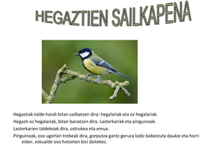 Hegaztiak talde handi bitan sailkatzen dira: hegalariak eta ez hegalariak.
Hegazti ez hegalariak, bitan banatzen dira. Lasterkariak eta pinguinoak.
Lasterkarien taldekoak dira, ostrukea eta emua.
Pinguinoak, oso ugerlari trebeak dira, gorputza gantz geruza lodiz babestuta daukie eta horri
    esker, eskualde oso hotzetan bizi daitekez.
 