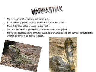•   Narrasti gehienak lehorreko animaliak dira;
•   Azala eskata gogorrez estalita daukie, eta lau hankan dabilz.
•   Guztiek birikien bidez arnasea hartzen dabe.
•   Narrasti batzuk bedarjaleak dira; eta beste batzuk okelajaleak.
•   Narrastiak obiparoak dira, arrautak euren konturaizten dabez, eta kumeek arrautzetatik
    urteten dabenean, ez dabezz jagoten.
 