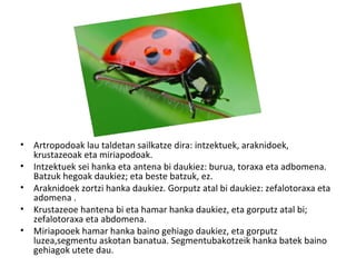 • Artropodoak lau taldetan sailkatze dira: intzektuek, araknidoek,
  krustazeoak eta miriapodoak.
• Intzektuek sei hanka eta antena bi daukiez: burua, toraxa eta adbomena.
  Batzuk hegoak daukiez; eta beste batzuk, ez.
• Araknidoek zortzi hanka daukiez. Gorputz atal bi daukiez: zefalotoraxa eta
  adomena .
• Krustazeoe hantena bi eta hamar hanka daukiez, eta gorputz atal bi;
  zefalotoraxa eta abdomena.
• Miriapooek hamar hanka baino gehiago daukiez, eta gorputz
  luzea,segmentu askotan banatua. Segmentubakotzeik hanka batek baino
  gehiagok utete dau.
 