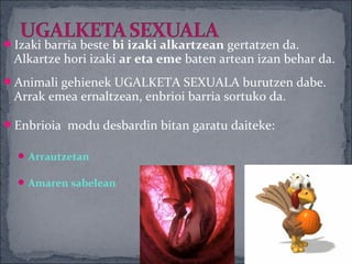 Izaki barria beste bi izaki alkartzean gertatzen da.
 Alkartze hori izaki ar eta eme baten artean izan behar da.
Animali gehienek UGALKETA SEXUALA burutzen dabe.
 Arrak emea ernaltzean, enbrioi barria sortuko da.

Enbrioia modu desbardin bitan garatu daiteke:

   Arrautzetan

   Amaren sabelean
 