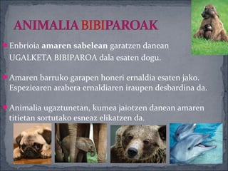 Enbrioia amaren sabelean garatzen danean
 UGALKETA BIBIPAROA dala esaten dogu.

Amaren barruko garapen honeri ernaldia esaten jako.
 Espeziearen arabera ernaldiaren iraupen desbardina da.

Animalia ugaztunetan, kumea jaiotzen danean amaren
 titietan sortutako esneaz elikatzen da.
 