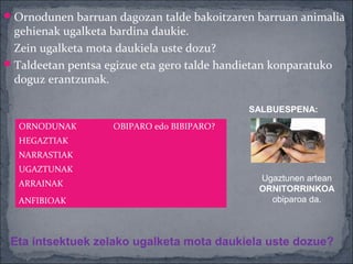  Ornodunen barruan dagozan talde bakoitzaren barruan animalia
  gehienak ugalketa bardina daukie.
  Zein ugalketa mota daukiela uste dozu?
 Taldeetan pentsa egizue eta gero talde handietan konparatuko
  doguz erantzunak.

                                              SALBUESPENA:
  ORNODUNAK         OBIPARO edo BIBIPARO?
  HEGAZTIAK
  NARRASTIAK
  UGAZTUNAK
                                                Ugaztunen artean
  ARRAINAK
                                                ORNITORRINKOA
  ANFIBIOAK                                       obiparoa da.



 Eta intsektuek zelako ugalketa mota daukiela uste dozue?
 