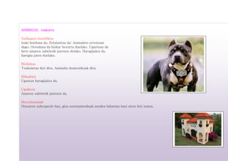 ANIMALIA: txakurra
Sailkapen zientifikoa
Izaki biziduna da. Zelulanitza da: Animalien erreinuan
dago. Ornoduna da bizkar hezurra duelako. Ugaztuna da
bere amaren sabeletik jaiotzen delako. Haragijalea da,
haragia jaten duelako.
Bizilekua
Txaboletan bizi dira. Animalia domestikoak dira.
Elikadura
Ugaztun haragijalea da.
Ugalketa
Amaren sabeletik jaiotzen da.
Berezitasunak
Otsoaren subespezie hau, giza asentamenduak zeuden lekuetan hasi ziren bizi izaten.
 