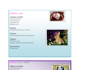 ANIMALIA: untxia
Sailkapen zientifiko
Izaki biziduna da.
Zelulanitza da.
Ornoduna da.
Bibiparoa da.
Bizilekua
Mendian,baserrietan, etxean…
Elikadura
Azenarioak jaten dituzte normalean.
Ugalketa
Bibiparoa a da
Amaren sabeletik jaiotzen direlako.
Berezitasunak
Politak dira
ANIMALIA: PANDA HARTZA
Sailkapen zientifikoa
Izaki biziduna da.
 