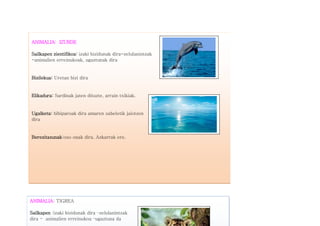 ANIMALIA: IZURDE
Sailkapen zientifikoa: izaki bizidunak dira-zelulanintzak
-animalien erreinukoak, ugaztunak dira
Bizilekua: Uretan bizi dira
Elikadura: Sardinak jaten dituzte, arrain txikiak.
Ugalketa: bibiparoak dira amaren sabeletik jaiotzen
dira
Berezitasunak:oso onak dira. Azkarrak ere.
ANIMALIA: TIGREA
Sailkapen :izaki bizidunak dira –zelulanintzak
dira - animalien erreinukoa –ugaztuna da
 