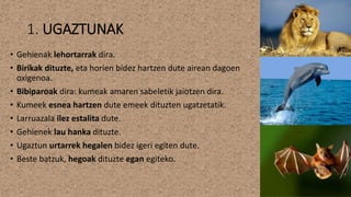 1. UGAZTUNAK
• Gehienak lehortarrak dira.
• Birikak dituzte, eta horien bidez hartzen dute airean dagoen
oxigenoa.
• Bibiparoak dira: kumeak amaren sabeletik jaiotzen dira.
• Kumeek esnea hartzen dute emeek dituzten ugatzetatik.
• Larruazala ilez estalita dute.
• Gehienek lau hanka dituzte.
• Ugaztun urtarrek hegalen bidez igeri egiten dute.
• Beste batzuk, hegoak dituzte egan egiteko.
 