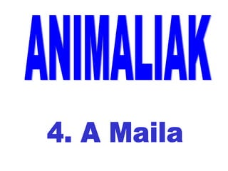 ANIMALIAK 4. A Maila 
