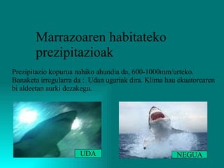 Marrazoaren habitateko  prezipitazioak Prezipitazio kopurua nahiko ahundia da, 600-1000mm/urteko. Banaketa irregularra da :  Udan ugariak dira. Klima hau ekuatorearen bi aldeetan aurki dezakegu.  UDA NEGUA 