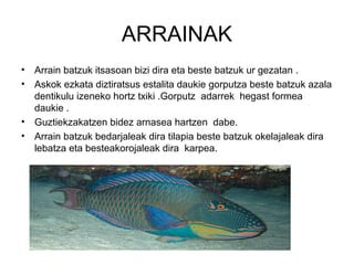 ARRAINAK
•   Arrain batzuk itsasoan bizi dira eta beste batzuk ur gezatan .
•   Askok ezkata diztiratsus estalita daukie gorputza beste batzuk azala
    dentikulu izeneko hortz txiki .Gorputz adarrek hegast formea
    daukie .
•   Guztiekzakatzen bidez arnasea hartzen dabe.
•   Arrain batzuk bedarjaleak dira tilapia beste batzuk okelajaleak dira
    lebatza eta besteakorojaleak dira karpea.
 