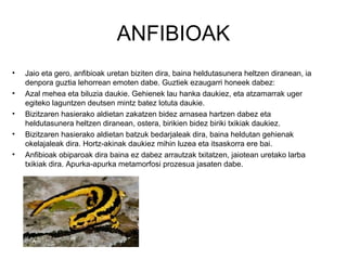 ANFIBIOAK
•   Jaio eta gero, anfibioak uretan biziten dira, baina heldutasunera heltzen diranean, ia
    denpora guztia lehorrean emoten dabe. Guztiek ezaugarri honeek dabez:
•   Azal mehea eta biluzia daukie. Gehienek lau hanka daukiez, eta atzamarrak uger
    egiteko laguntzen deutsen mintz batez lotuta daukie.
•   Bizitzaren hasierako aldietan zakatzen bidez arnasea hartzen dabez eta
    heldutasunera heltzen diranean, ostera, birikien bidez biriki txikiak daukiez.
•   Bizitzaren hasierako aldietan batzuk bedarjaleak dira, baina heldutan gehienak
    okelajaleak dira. Hortz-akinak daukiez mihin luzea eta itsaskorra ere bai.
•   Anfibioak obiparoak dira baina ez dabez arrautzak txitatzen, jaiotean uretako larba
    txikiak dira. Apurka-apurka metamorfosi prozesua jasaten dabe.
 