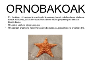•
    ORNOBAKOAK
    Ez daukie ez bizkarrazurrik ez eskeletorik ornobako batzuk oskolez daukie eta beste
    batzuk mazkorrez,plakak edo azal zuruna beste batzuk gorputz biguna eta azal
    biluzia daukie.
•   Ornobako ugalketa obiparoa daukie .
•   Ornobakoek organismo heterotrofoak dira bedarjaleak ,okelajaleak eta orojaleak dira.
 