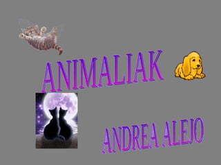 ANDREA ALEJO ANIMALIAK 