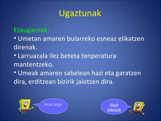 Ugaztunak Ezaugarriak: Umetan amaren bularreko esneaz elikatzen direnak. Larruazala ilez beteta tenperatura  mantentzeko. Umeak amaren sabelean hazi eta garatzen dira, erditzean bizirik jaiotzen dira. Ikusi argazkiak Itzuli menura 