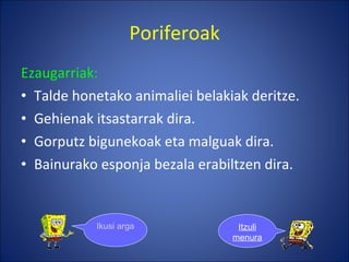 Poriferoak Ezaugarriak: Talde honetako animaliei belakiak deritze. Gehienak itsastarrak dira. Gorputz bigunekoak eta malguak dira. Bainurako esponja bezala erabiltzen dira. Ikusi argazkiak Itzuli menura 