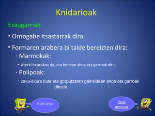 Knidarioak Ezaugarriak: Ornogabe itsastarrak dira. Formaren arabera bi talde bereizten dira: · Marmokak: -  Aterki itxurakoa da, eta behean ahoa eta  garroak ditu.   · Polipoak: -  Z aku-itxura dute eta gorputzaren gainaldean ahoa eta garroak  dituzte. Ikusi argazkiak Itzuli menura 