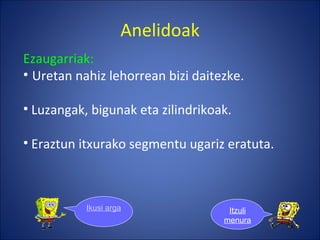 Anelidoak Ezaugarriak: Uretan nahiz lehorrean bizi daitezke. Luzangak, bigunak eta zilindrikoak. Eraztun itxurako segmentu ugariz eratuta. Ikusi argazkiak Itzuli menura 