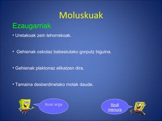 Moluskuak Ezaugarriak : Uretakoak zein lehorrekoak. Gehienak oskolaz babestutako gorputz biguina. Gehienak plaktonaz elikatzen dira. Tamaina desberdinetako motak daude. Ikusi argazkiak Itzuli menura 