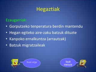 Hegaztiak Ezaugarriak: Gorputzeko tenperatura berdin mantendu Hegan egiteko aire-zaku batzuk dituzte Kanpoko ernalkuntza (arrautzak) Batzuk migratzaileak Ikusi argazkiak Itzuli menura 