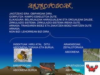 JAIOTZEKO ERA: OBIPAROAK DIRA.
GORPUTZA: KAMPO ESKELETOA DUTE.
ELIKADURA: BELARJALEAK HARAGIJALEAK ETA OROJALEAK DAUDE.
ZIRKULAZIO SISTEMA: ZIRKULAZIO-SISTEMA IREKIA DUTE.
ARNASA: TRAKEAREN BIDEZ ETA ZAKATZEN BIDEZ HARTZEN DUTE
ARNASA.
NON BIZI: LEHORREAN BIZI DIRA .




  INSEKTUAK :HIRU ATAL DITU:        ARAKNIDOAK:
  ABDOMENA,TORAXA ETA BURUA.        ZEFALOTORAXA
                                     ABDOMENA




  MIRIAPODOAK:                       KRUSTAZEOAK:
  ABDOMENA BURUA                     ABDOMENA
 