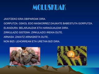 JAIOTZEKO ERA:OBIPAROAK DIRA.
GORPUTZA: OSKOL EDO MASKORREZ DAUKATE BABESTUTA GORPUTZA.
ELIKADURA: BELARJALEAK ETA HARAGIJALEAK DIRA.
ZIRKULAZIO SISTEMA: ZIRKULAZIO IREKIA DUTE.
ARNASA: ZAKATZ ARNASKETA DUTE.
NON BIZI: LEHORREAN ETA URETAN BIZI DIRA.
 