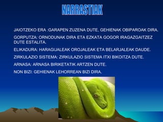 JAIOTZEKO ERA :GARAPEN ZUZENA DUTE, GEHIENAK OBIPAROAK DIRA.
GORPUTZA: ORNODUNAK DIRA ETA EZKATA GOGOR IRAGAZGAITZEZ
DUTE ESTALITA.
ELIKADURA: HARAGIJALEAK OROJALEAK ETA BELARJALEAK DAUDE.
ZIRKULAZIO SISTEMA: ZIRKULAZIO SISTEMA ITXI BIKOITZA DUTE.
ARNASA: ARNASA BIRIKETATIK ARTZEN DUTE.
NON BIZI: GEHIENAK LEHORREAN BIZI DIRA.
 