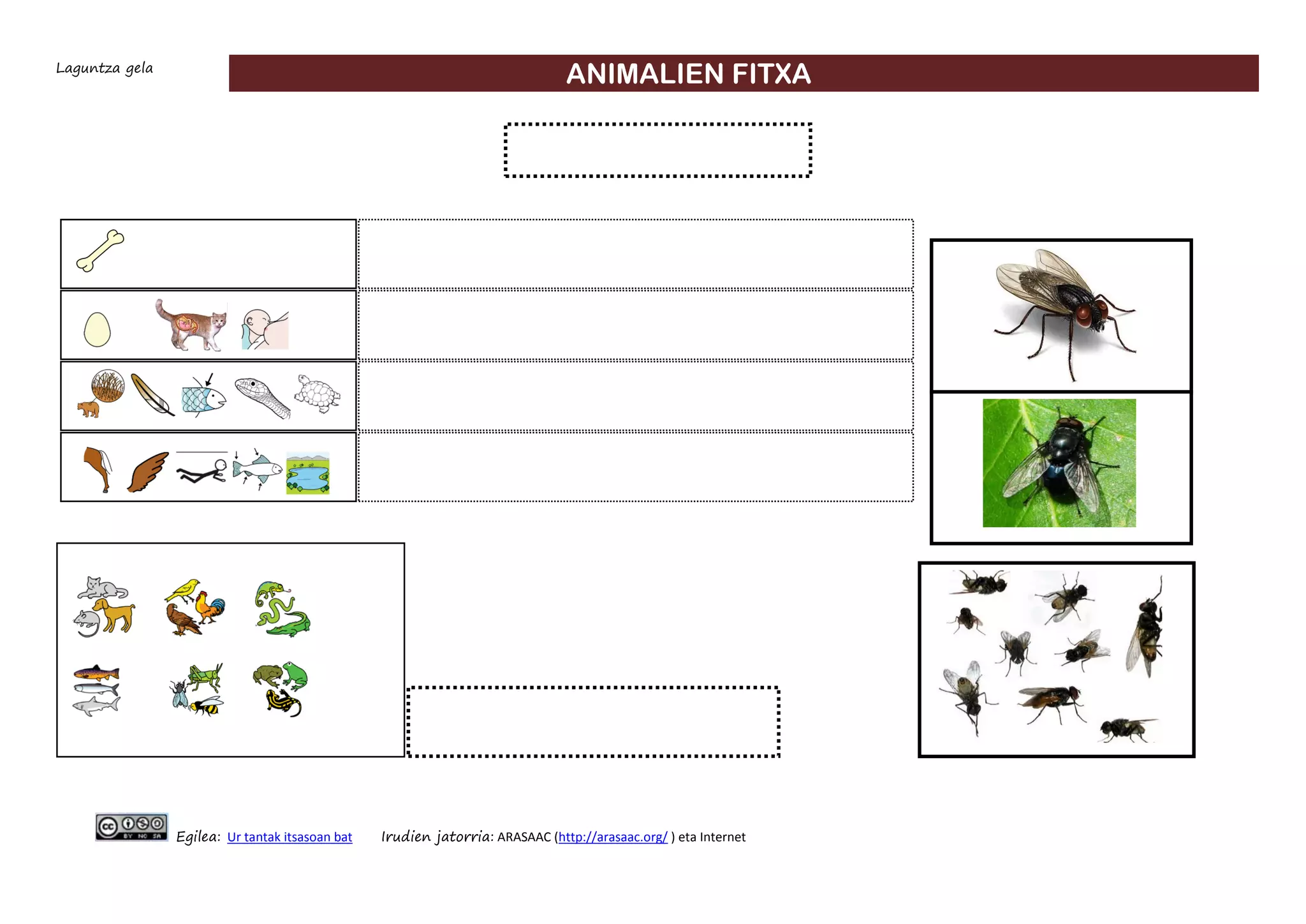 Laguntza gela
ANIMALIEN FITXA
Egilea: Ur tantak itsasoan bat Irudien jatorria: ARASAAC (http://arasaac.org/ ) eta Internet
 