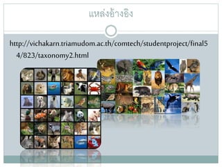 แหล่งอ้างอิง
http://vichakarn.triamudom.ac.th/comtech/studentproject/final5
4/823/taxonomy2.html
 