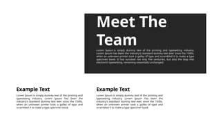 Meet The
Team
Lorem Ipsum is simply dummy text of the printing and typesetting industry.
Lorem Ipsum has been the industry's standard dummy text ever since the 1500s,
when an unknown printer took a galley of type and scrambled it to make a type
specimen book. It has survived not only five centuries, but also the leap into
electronic typesetting, remaining essentially unchanged.
Lorem Ipsum is simply dummy text of the printing and
typesetting industry. Lorem Ipsum has been the
industry's standard dummy text ever since the 1500s,
when an unknown printer took a galley of type and
scrambled it to make a type specimen book
Example Text
Lorem Ipsum is simply dummy text of the printing and
typesetting industry. Lorem Ipsum has been the
industry's standard dummy text ever since the 1500s,
when an unknown printer took a galley of type and
scrambled it to make a type specimen book
Example Text
 