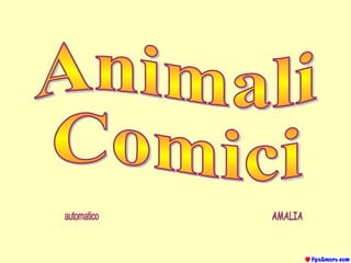 Animali Comici automatico AMALIA 