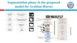 1717
Segmentation phase in the proposed
model for Arabian Horses
 