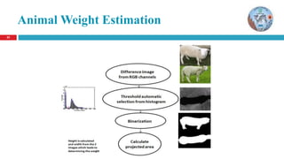 2323
Animal Weight Estimation
 