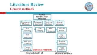 Literature Review
General methods
7
Animal
Identification
Methods
Permanent
Methods
Ear
notching
Ear
tattooing
Hot iron
branding
Freeze
branding
Temporar
y Methods
Ear
tagging
Electrical
Methods
RFID
Systems
Animal
biometric
Muzzle
Prints
Iris
Pattern
Retinal
vascular
Face
PatternClassical methods
Modern Methods(limited depth of
 