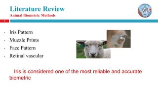 9
• Iris Pattern
• Muzzle Prints
• Face Pattern
• Retinal vascular
Iris is considered one of the most reliable and accurate
biometric
Literature Review
Animal Biometric Methods
 