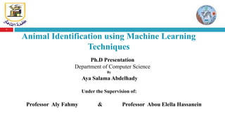 1
Animal Identification using Machine Learning
Techniques
By
Aya Salama Abdelhady
Under the Supervision of:
Professor Aly Fahmy & Professor Abou Elella Hassanein
Ph.D Presentation
Department of Computer Science
 