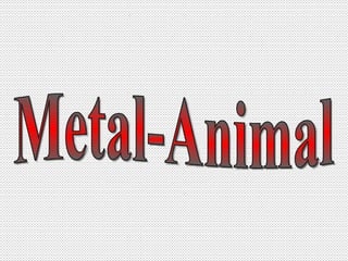Metal-Animal 