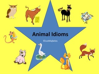 Animal Idioms
   ©LosMajkelos
 