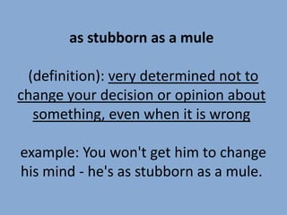 Definition & Meaning of Stubborn as a mule