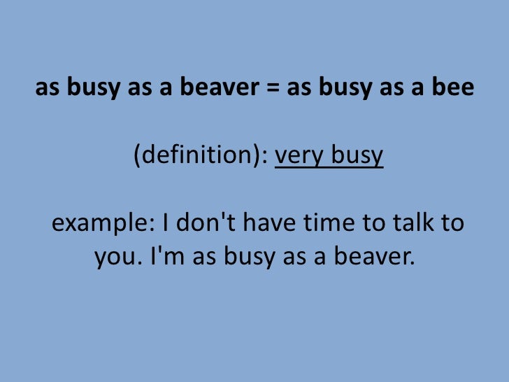 As Busy As A Bee Meaning AnaCandelaioull