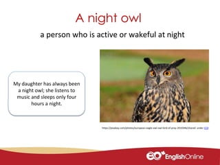 Animal Idioms - A Canadian Idioms Lesson | PPTX