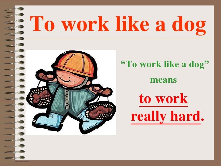 animal idioms part 2 works like a dog