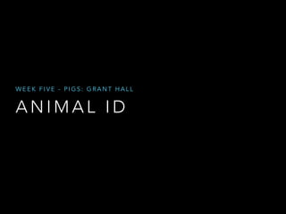 WEEK FIVE - PIGS: GRANT HALL 
ANIMAL ID 
 