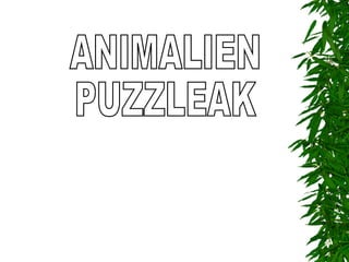 ANIMALIEN PUZZLEAK AINHOA SANZ TIRAPU HAUR HEZKUNTZA 2. MAILA 2007-2008 
