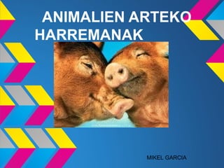 ANIMALIEN ARTEKO
HARREMANAK
MIKEL GARCIA
 