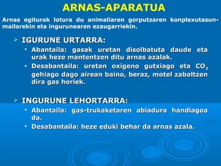 ARNAS-APARATUA
Arnas egiturak lotura du animaliaren gorputzaren konplexutasunmailarekin eta ingurunearen ezaugarriekin.



IGURUNE URTARRA:






Abantaila: gasak uretan disolbatuta daude eta
urak heze mantentzen ditu arnas azalak.
Desabantaila: uretan oxigeno gutxiago eta CO 2
gehiago dago airean baino, beraz, motel zabaltzen
dira gas horiek.

INGURUNE LEHORTARRA:




Abantaila: gas-trukaketaren abiadura handiagoa
da.
Desabantaila: heze eduki behar da arnas azala.

 