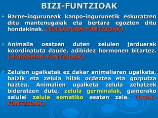 BIZI-FUNTZIOAK


Barne-inguruneak kanpo-ingurunetik eskuratzen
ditu mantenugaiak eta bertara egozten ditu
hondakinak. (ELIKADURA-FUNTZIOAK)



Animalia
osatzen
duten
koordinatuta daude, adibidez
(HARREMAN-FUNTZIOAK)



Zelulen ugalketak ez dakar animaliaren ugalketa,
baizik eta zelula hilak ordeztea eta gorputza
haztea. Animalien ugalketa zelula zehatzek
bideratzen dute, zelula germinalak, gainerako
zelulei zelula somatiko esaten zaie. (UGALFUNTZIOAK)

zelulen
jarduerak
hormonen bitartez.

 