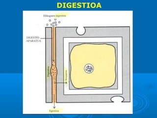 DIGESTIOA

 