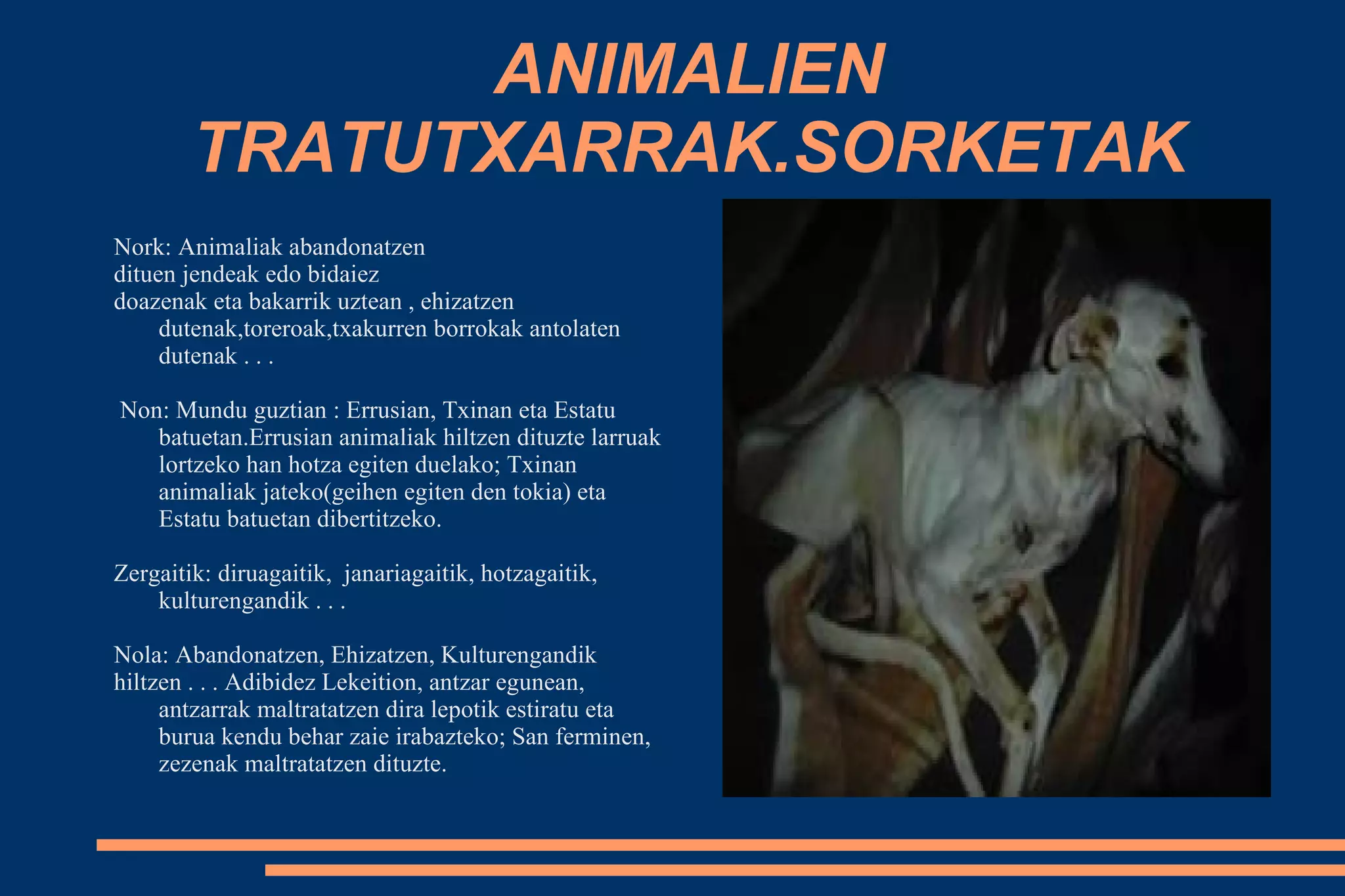 Animalien Tratu Txarrak PPT