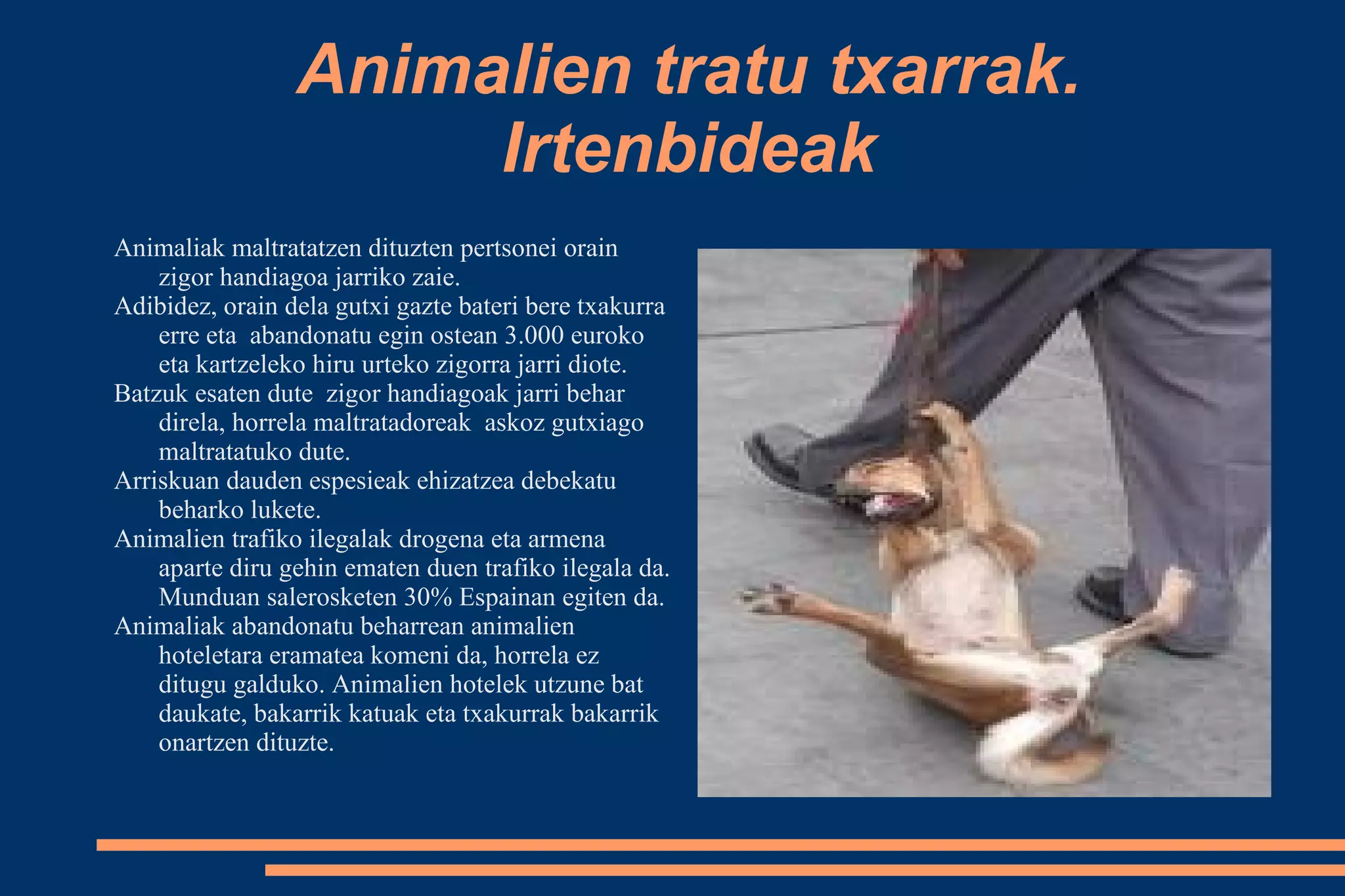 animalien-tratu-txarrak-odp